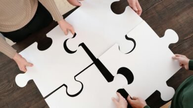 strategic activity overview summary